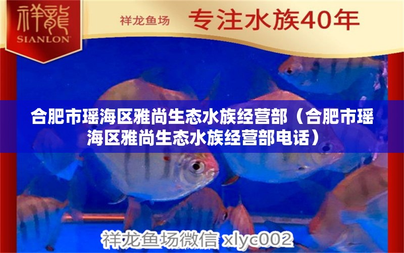 合肥市瑶海区雅尚生态水族经营部（合肥市瑶海区雅尚生态水族经营部电话） 全国水族馆企业名录