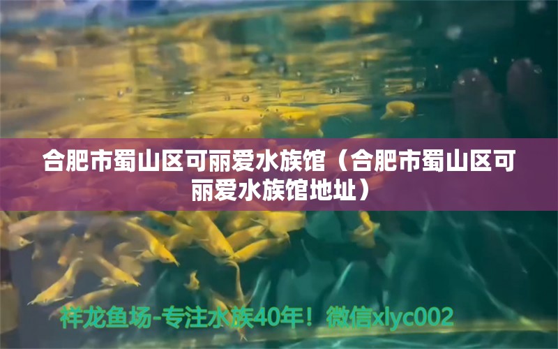 合肥市蜀山区可丽爱水族馆（合肥市蜀山区可丽爱水族馆地址）