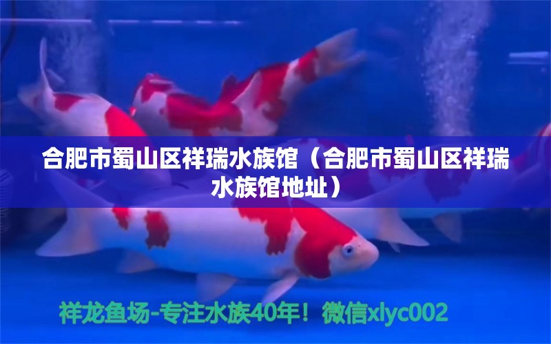 合肥市蜀山区祥瑞水族馆（合肥市蜀山区祥瑞水族馆地址） 全国水族馆企业名录