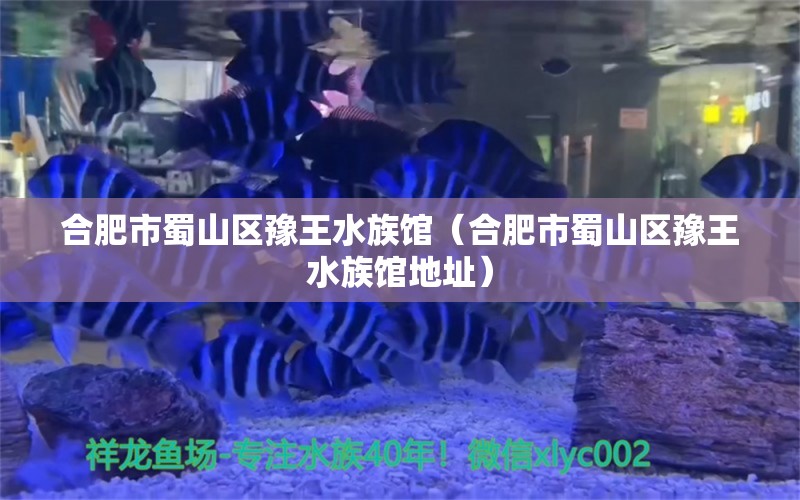 合肥市蜀山区豫王水族馆（合肥市蜀山区豫王水族馆地址） 全国水族馆企业名录