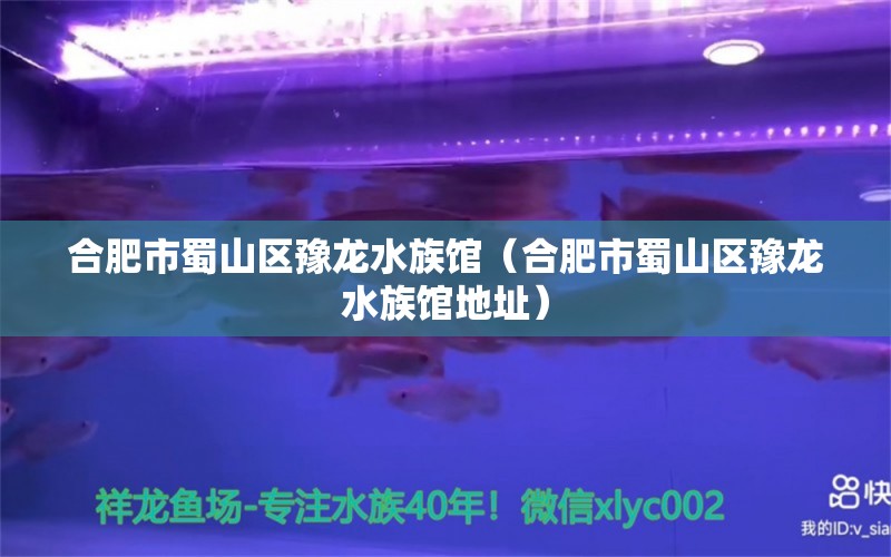 合肥市蜀山区豫龙水族馆（合肥市蜀山区豫龙水族馆地址） 全国水族馆企业名录