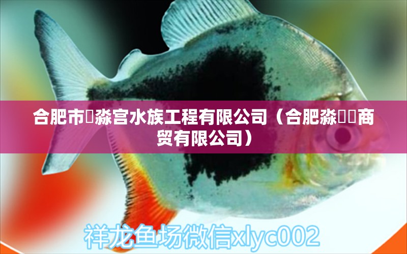 合肥市鱻淼宫水族工程有限公司（合肥淼犇骉商贸有限公司） 全国水族馆企业名录