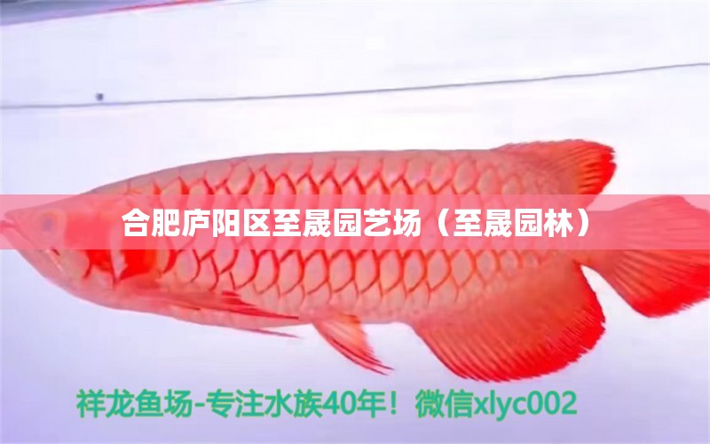 合肥庐阳区至晟园艺场（至晟园林） 全国水族馆企业名录