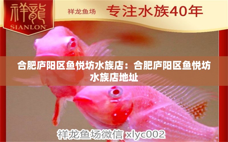 合肥庐阳区鱼悦坊水族店：合肥庐阳区鱼悦坊水族店地址