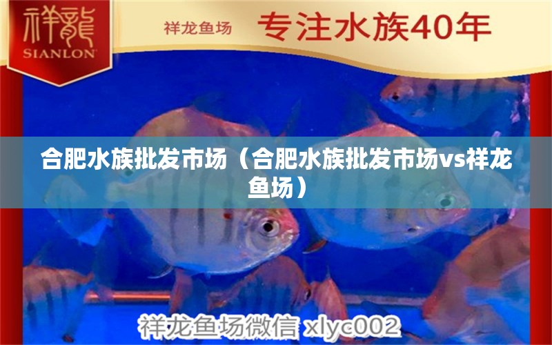 合肥水族批发市场（合肥水族批发市场vs祥龙鱼场）