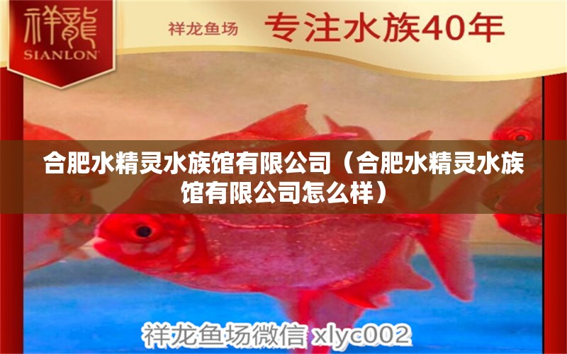 合肥水精灵水族馆有限公司（合肥水精灵水族馆有限公司怎么样） 全国水族馆企业名录