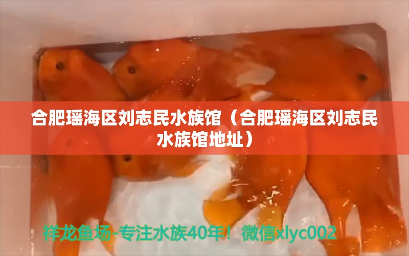 合肥瑶海区刘志民水族馆（合肥瑶海区刘志民水族馆地址） 全国水族馆企业名录