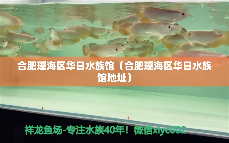 合肥瑶海区华日水族馆（合肥瑶海区华日水族馆地址） 全国水族馆企业名录