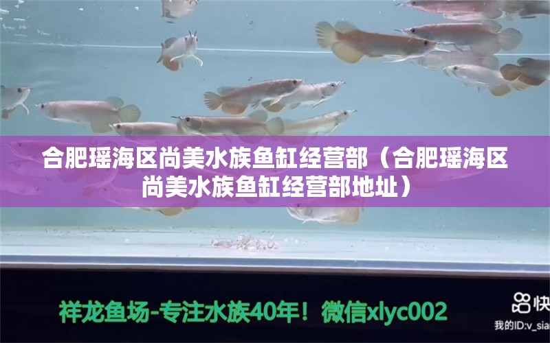 合肥瑶海区尚美水族鱼缸经营部（合肥瑶海区尚美水族鱼缸经营部地址） 全国水族馆企业名录