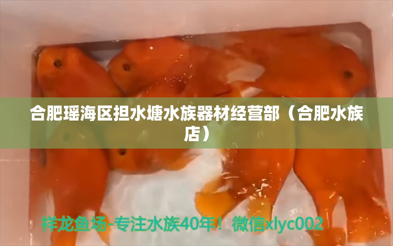 合肥瑶海区担水塘水族器材经营部（合肥水族店） 全国水族馆企业名录