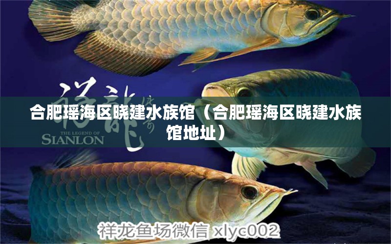 合肥瑶海区晓建水族馆（合肥瑶海区晓建水族馆地址） 全国水族馆企业名录