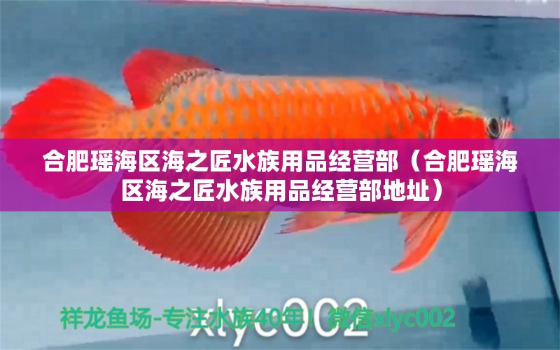 合肥瑶海区海之匠水族用品经营部（合肥瑶海区海之匠水族用品经营部地址） 水族用品