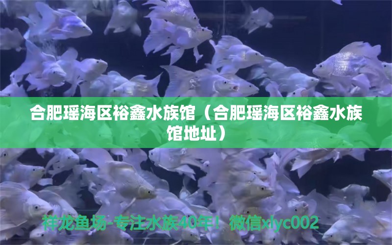 合肥瑶海区裕鑫水族馆（合肥瑶海区裕鑫水族馆地址） 全国水族馆企业名录