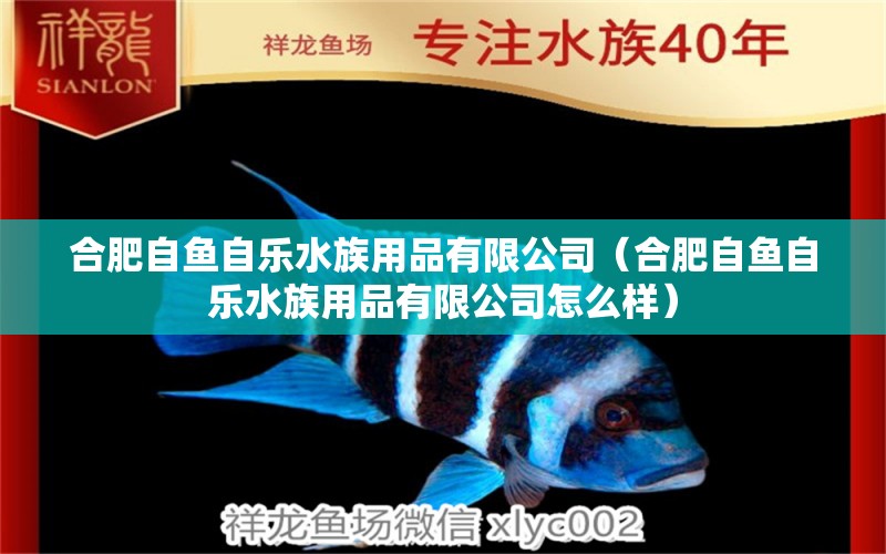 合肥自鱼自乐水族用品有限公司（合肥自鱼自乐水族用品有限公司怎么样）