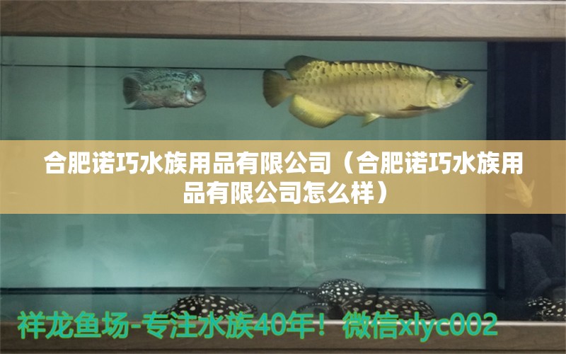 合肥诺巧水族用品有限公司（合肥诺巧水族用品有限公司怎么样）