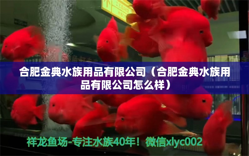 合肥金典水族用品有限公司（合肥金典水族用品有限公司怎么样）