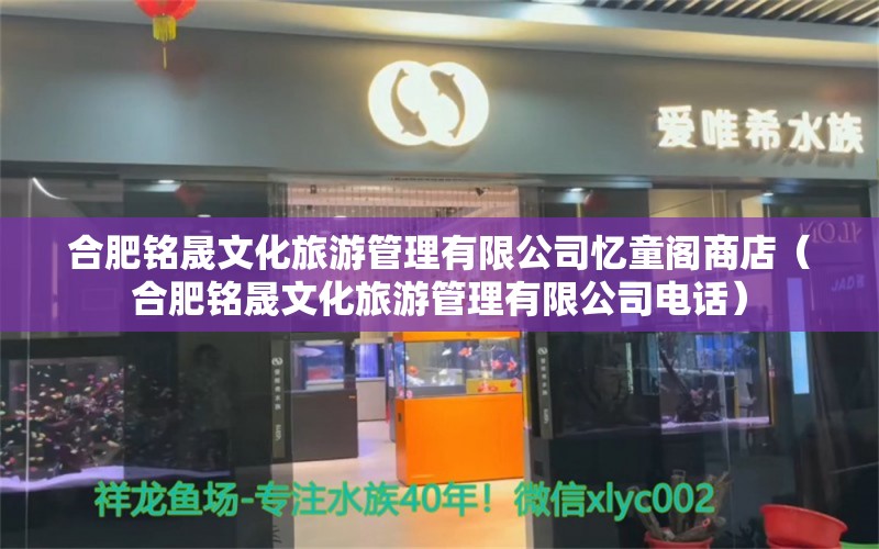 合肥铭晟文化旅游管理有限公司忆童阁商店（合肥铭晟文化旅游管理有限公司电话） 全国水族馆企业名录