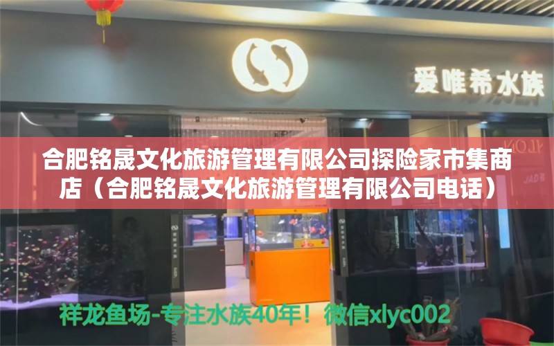 合肥铭晟文化旅游管理有限公司探险家市集商店（合肥铭晟文化旅游管理有限公司电话）