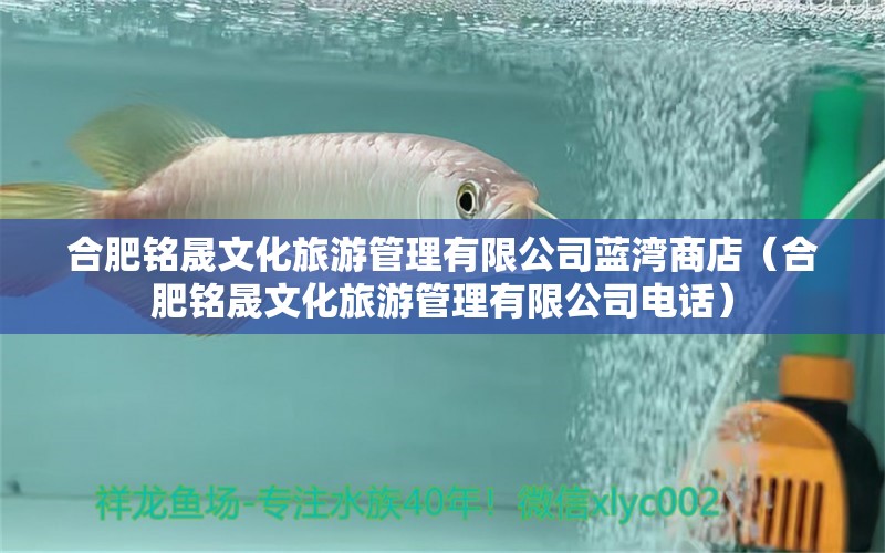 合肥铭晟文化旅游管理有限公司蓝湾商店（合肥铭晟文化旅游管理有限公司电话）