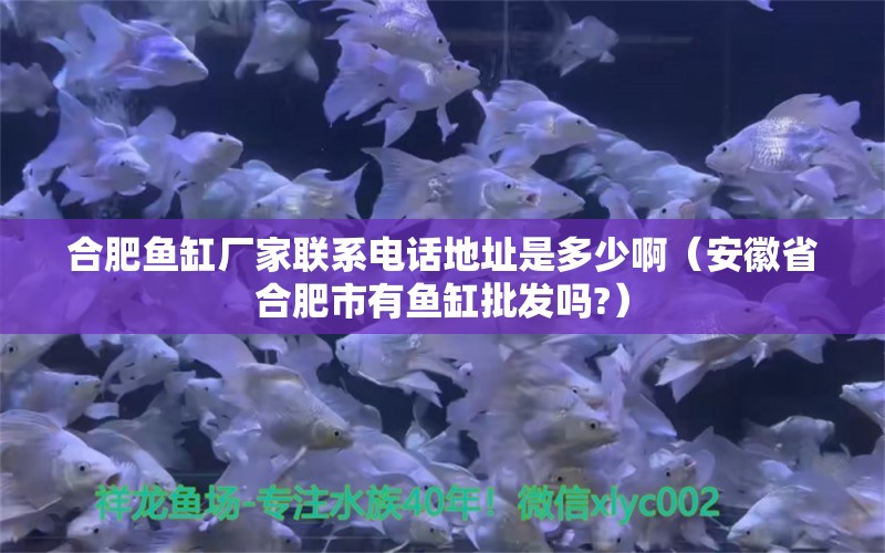 合肥鱼缸厂家联系电话地址是多少啊（安徽省合肥市有鱼缸批发吗?）