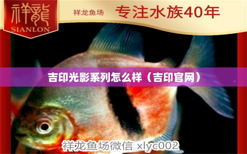 吉印光影系列怎么样（吉印官网） 水族展会