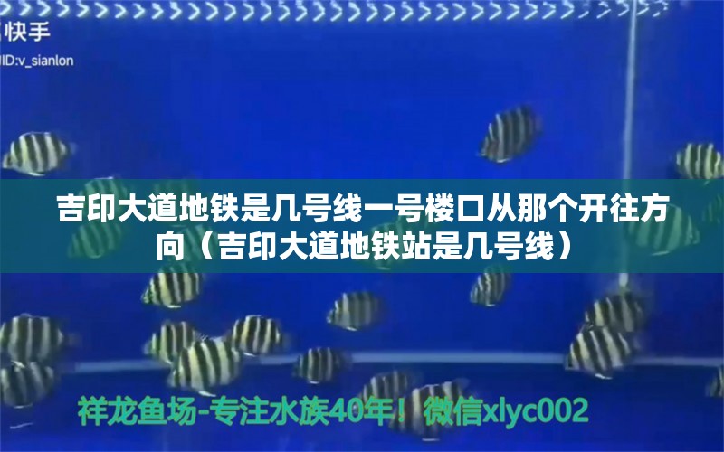 吉印大道地铁是几号线一号楼口从那个开往方向（吉印大道地铁站是几号线）