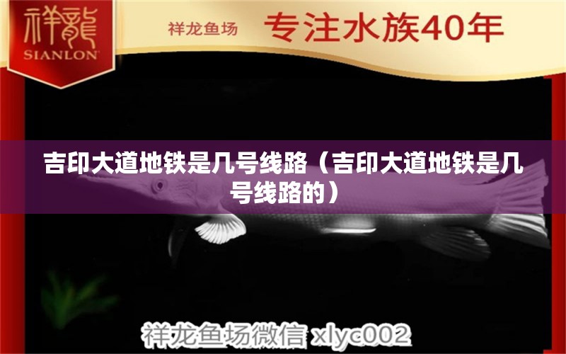 吉印大道地铁是几号线路（吉印大道地铁是几号线路的） 吉印水族