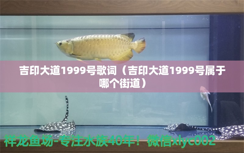 吉印大道1999号歌词（吉印大道1999号属于哪个街道）