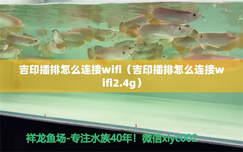 吉印插排怎么连接wifi（吉印插排怎么连接wifi2.4g）