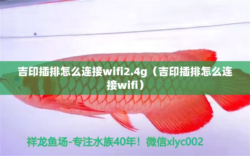 吉印插排怎么连接wifi2.4g（吉印插排怎么连接wifi） 吉印水族