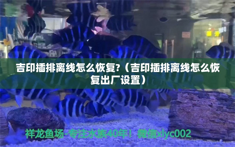 吉印插排离线怎么恢复?（吉印插排离线怎么恢复出厂设置）