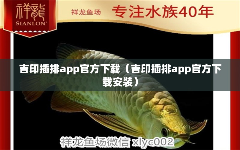 吉印插排app官方下载（吉印插排app官方下载安装）