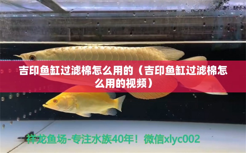 吉印鱼缸过滤棉怎么用的（吉印鱼缸过滤棉怎么用的视频）