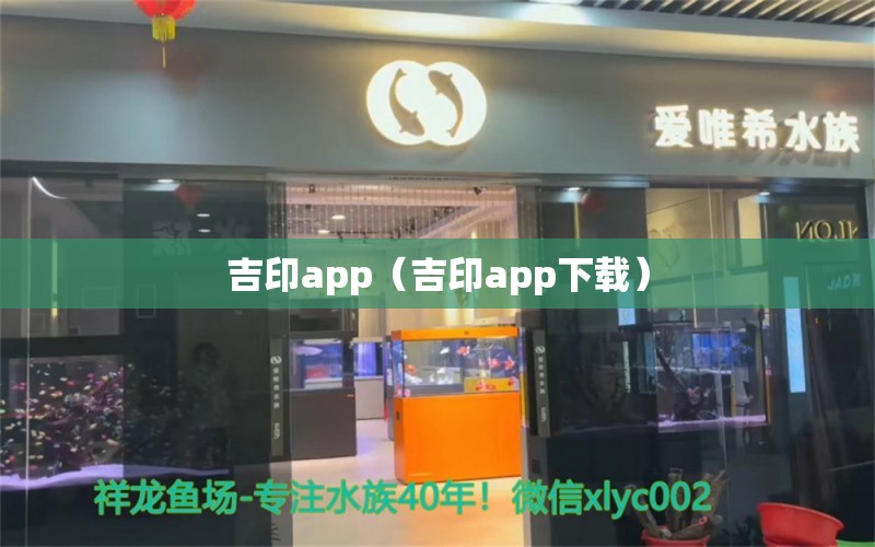 吉印app（吉印app下载） 吉印水族