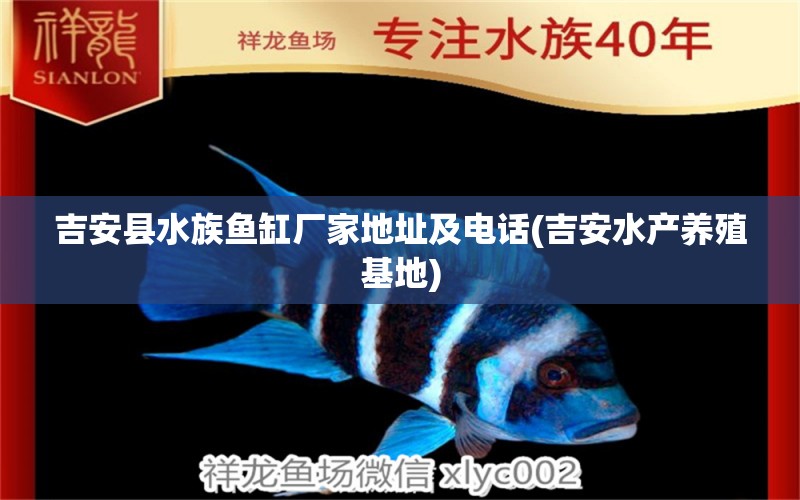 吉安县水族鱼缸厂家地址及电话(吉安水产养殖基地) 白子红龙鱼