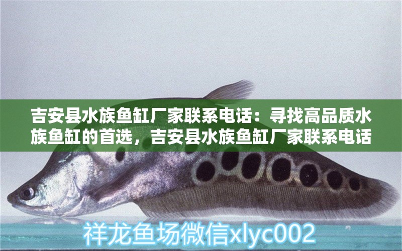 吉安县水族鱼缸厂家联系电话：寻找高品质水族鱼缸的首选，吉安县水族鱼缸厂家联系电话：寻找高品质水族鱼缸的首选