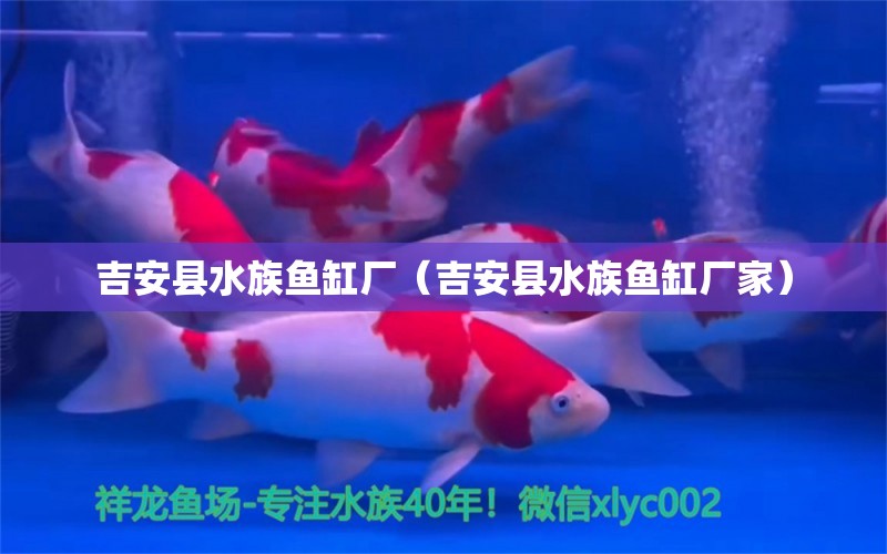 吉安县水族鱼缸厂（吉安县水族鱼缸厂家）