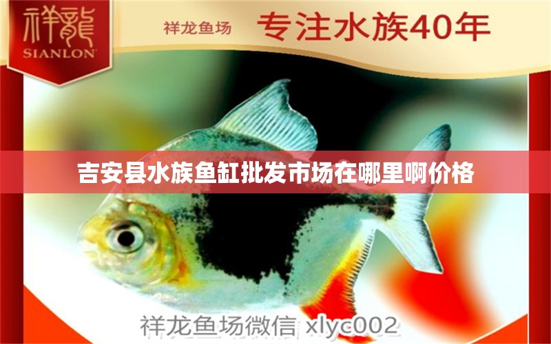 吉安县水族鱼缸批发市场在哪里啊价格