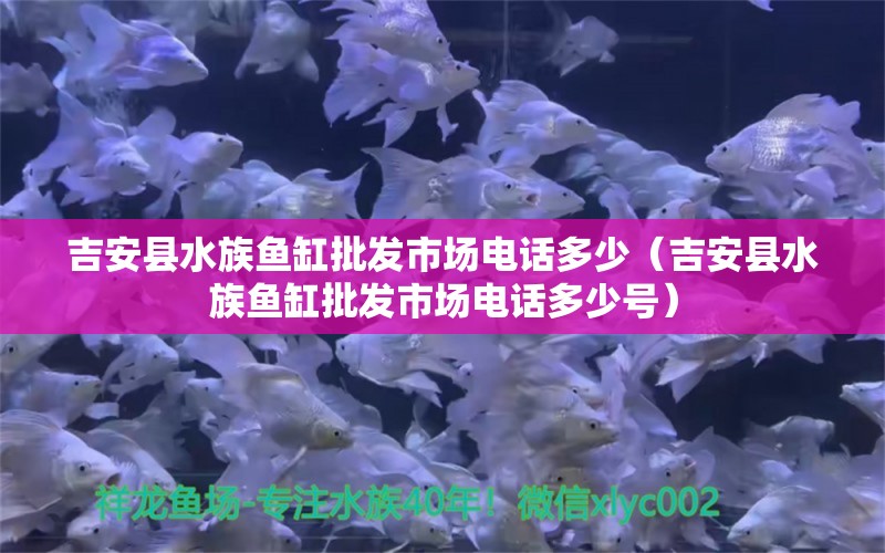 吉安县水族鱼缸批发市场电话多少（吉安县水族鱼缸批发市场电话多少号）