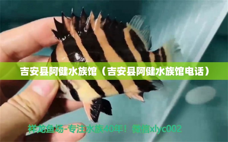 吉安县阿健水族馆（吉安县阿健水族馆电话）