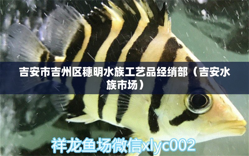 吉安市吉州区穗明水族工艺品经绡部（吉安水族市场）