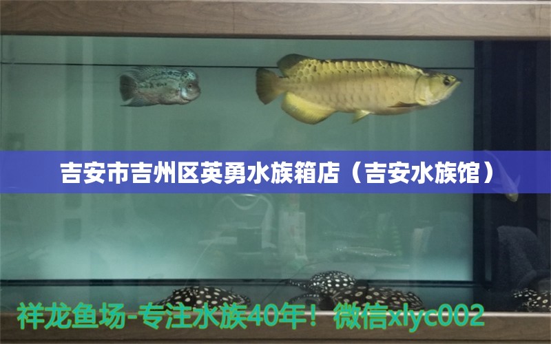 吉安市吉州区英勇水族箱店（吉安水族馆）