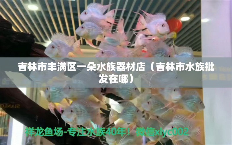 吉林市丰满区一朵水族器材店（吉林市水族批发在哪） 全国水族馆企业名录