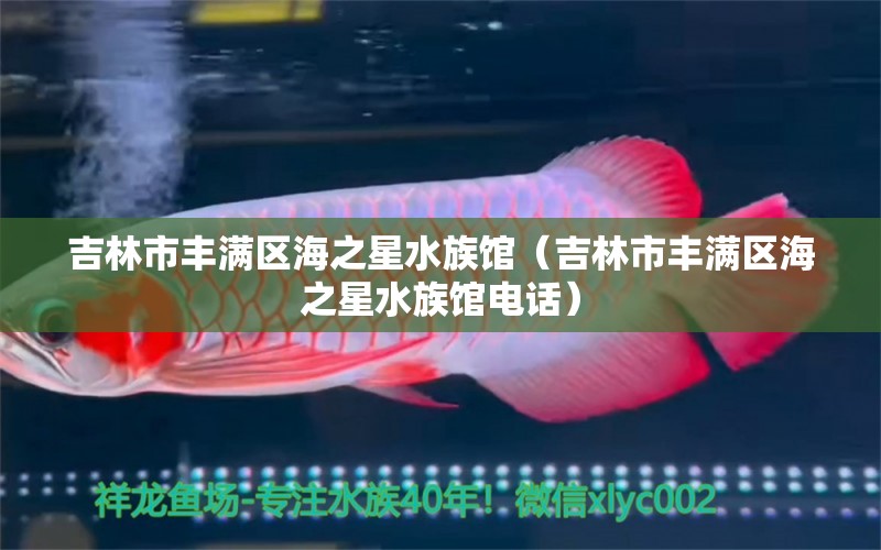 吉林市丰满区海之星水族馆（吉林市丰满区海之星水族馆电话）