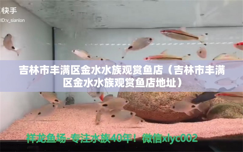 吉林市丰满区金水水族观赏鱼店（吉林市丰满区金水水族观赏鱼店地址） 全国水族馆企业名录