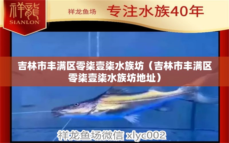 吉林市丰满区零柒壹柒水族坊（吉林市丰满区零柒壹柒水族坊地址） 全国水族馆企业名录