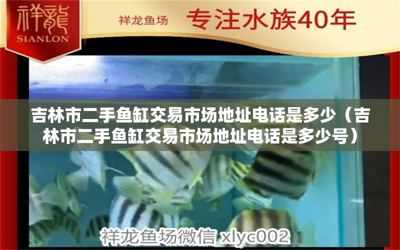 吉林市二手鱼缸交易市场地址电话是多少（吉林市二手鱼缸交易市场地址电话是多少号）