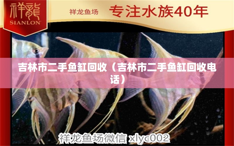 吉林市二手鱼缸回收（吉林市二手鱼缸回收电话） 祥龙水族医院