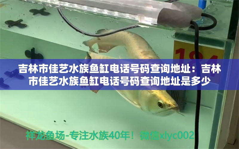 吉林市佳艺水族鱼缸电话号码查询地址：吉林市佳艺水族鱼缸电话号码查询地址是多少