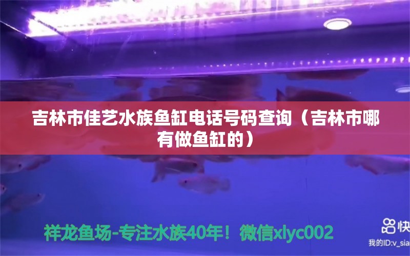 吉林市佳艺水族鱼缸电话号码查询（吉林市哪有做鱼缸的） 潜水艇鱼